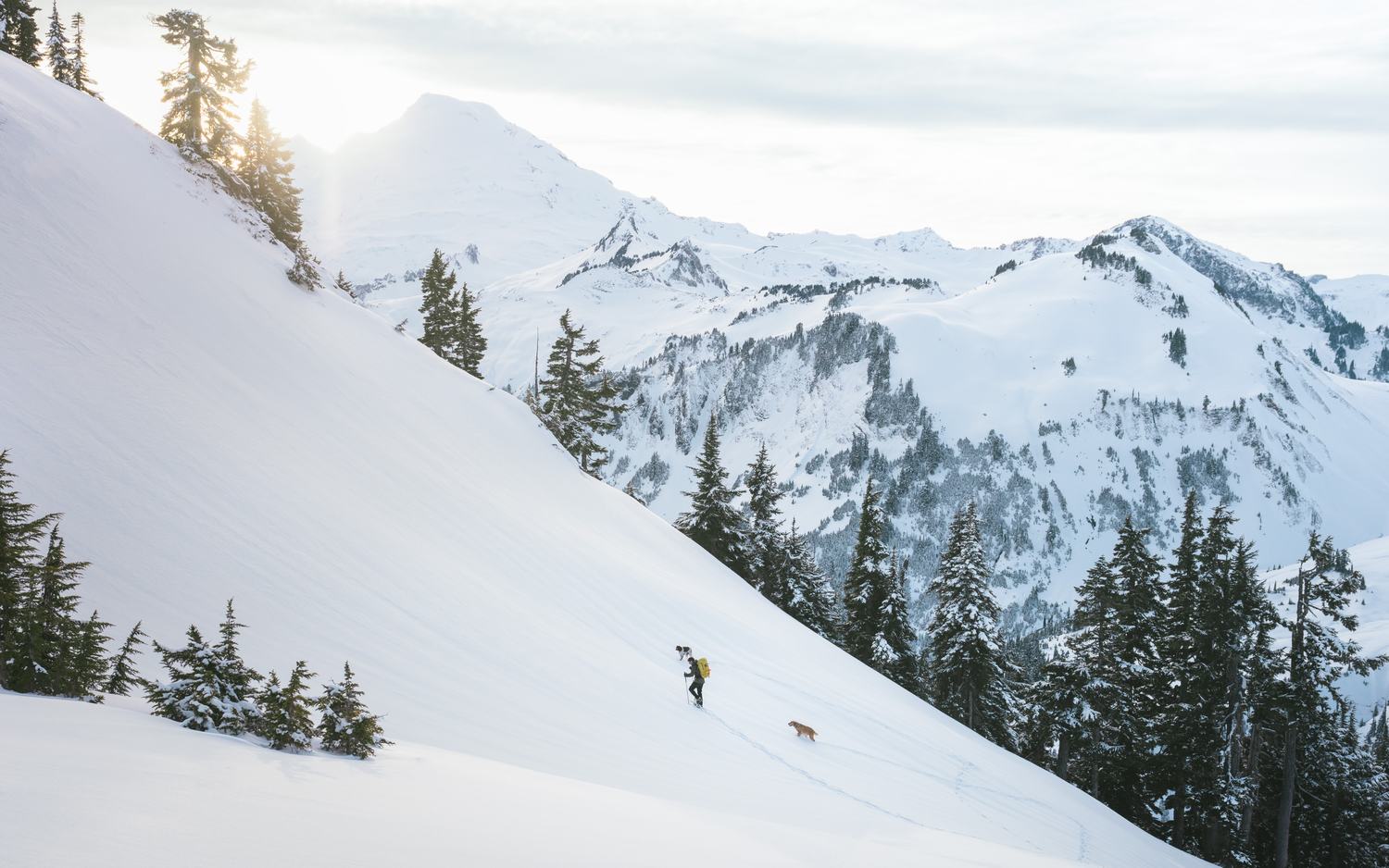 Backcountry commission by Morgan Phillips, photo 2 of 15