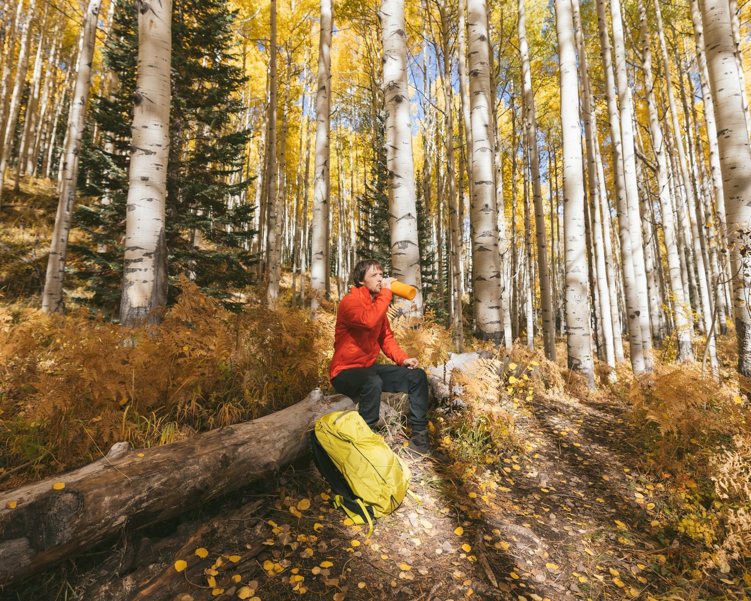 Backcountry commission by Morgan Phillips, photo 9 of 15