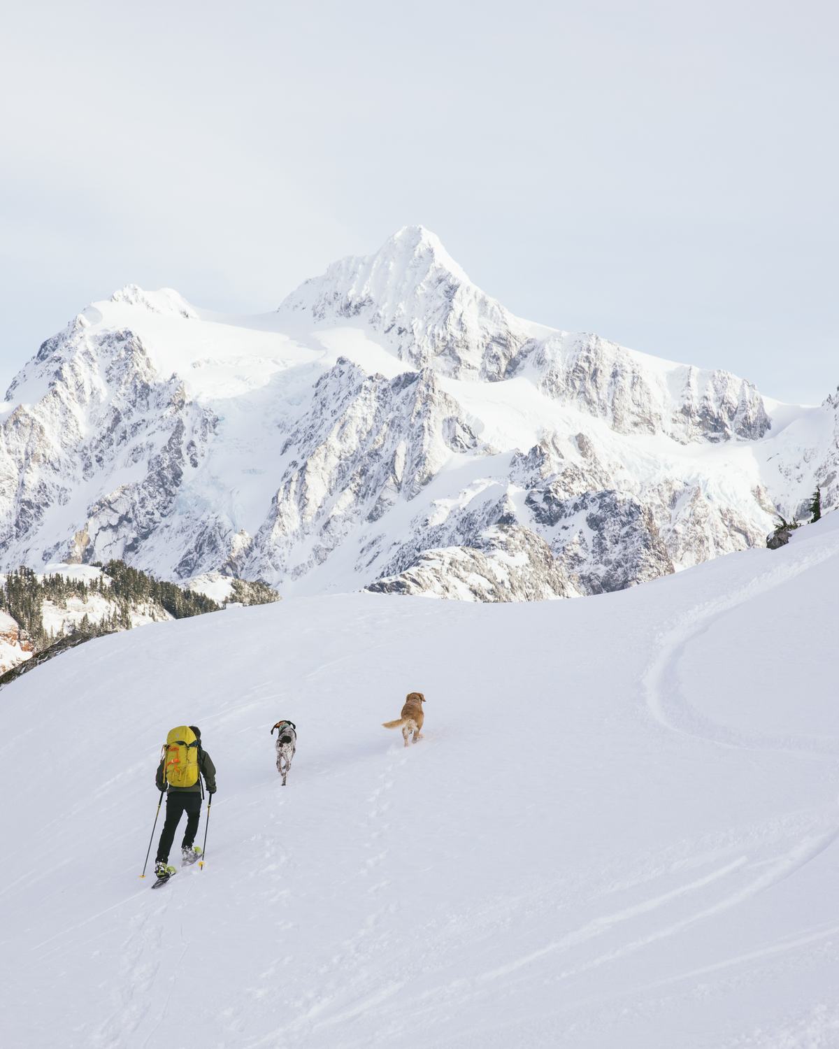 Backcountry commission by Morgan Phillips, photo 14 of 15
