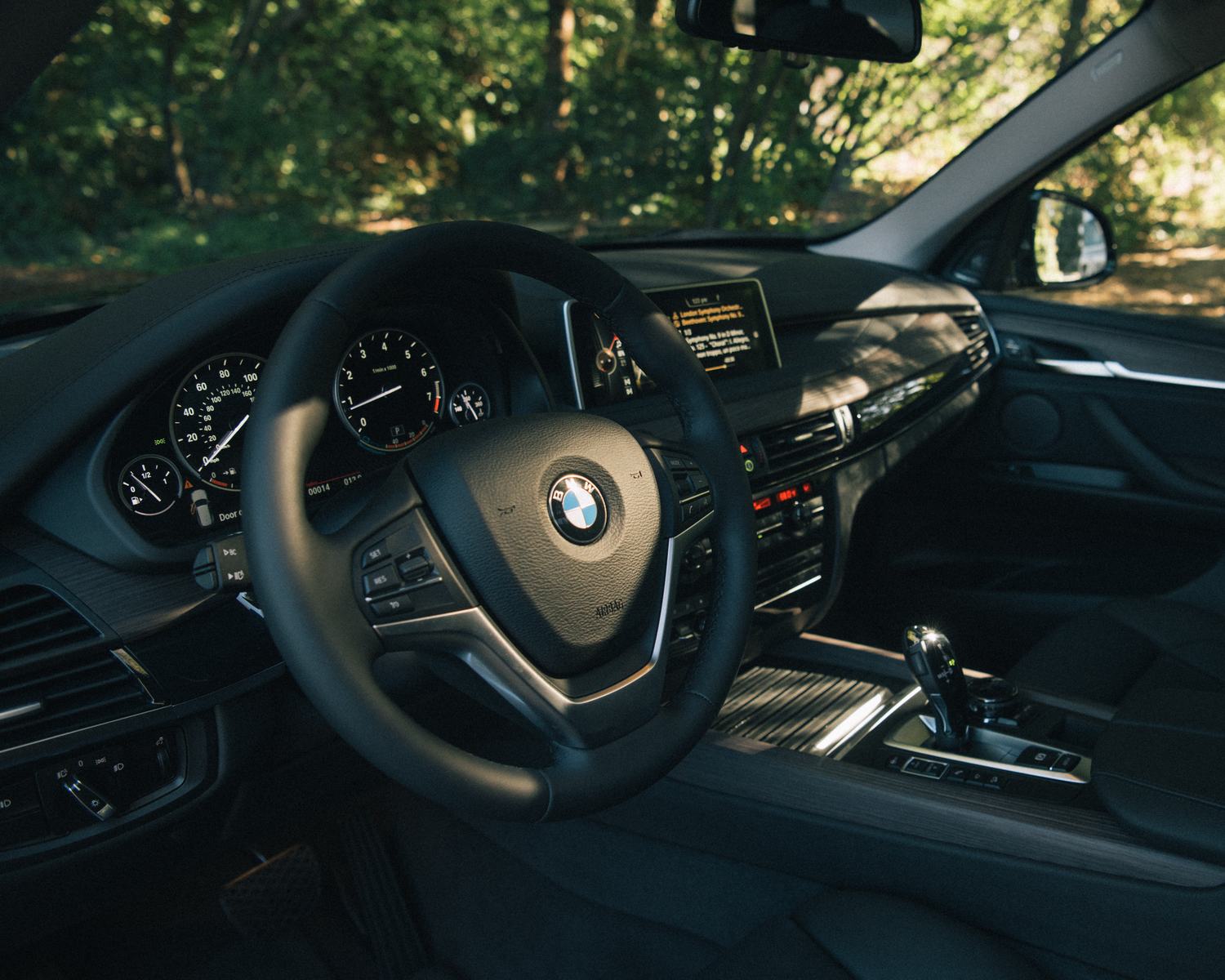 BMW commission by Morgan Phillips, photo 4 of 15