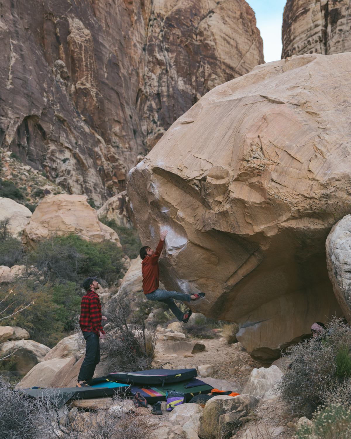 Eddie Bauer commission by Morgan Phillips, photo 15 of 15