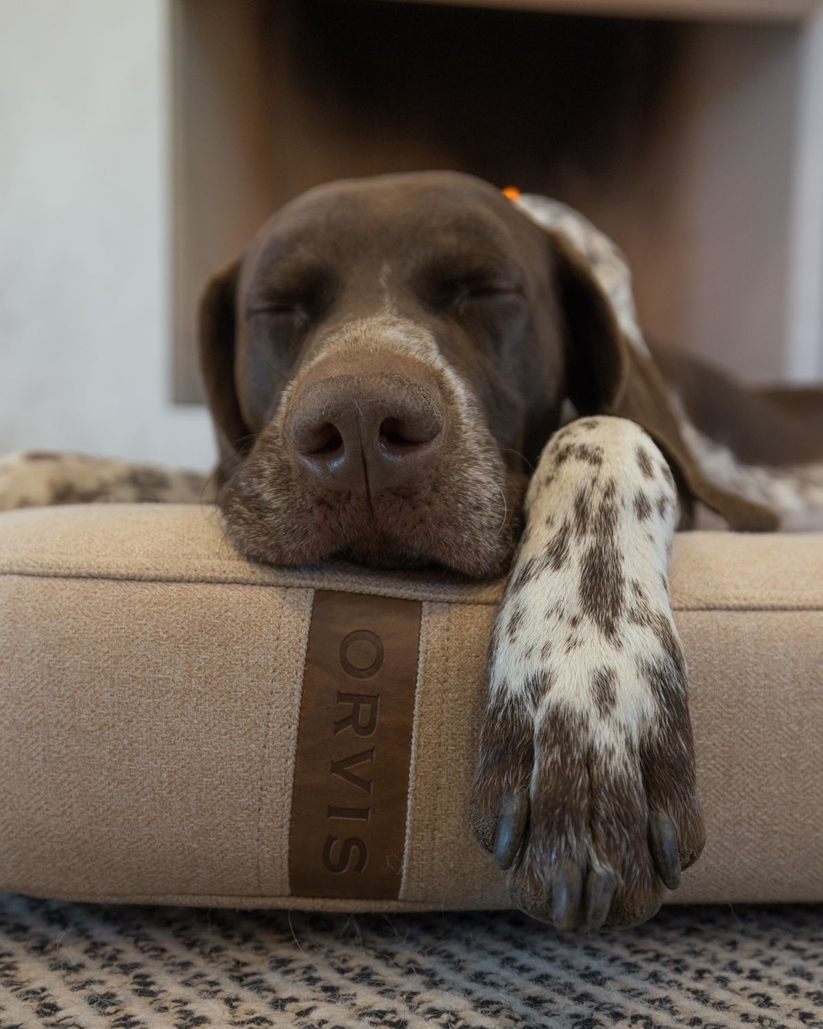 Orvis commission by Morgan Phillips, photo 4 of 15