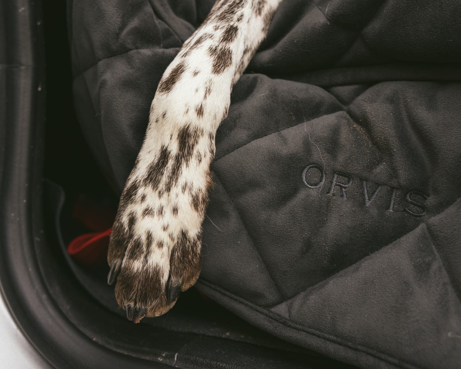 Orvis commission by Morgan Phillips, photo 13 of 15