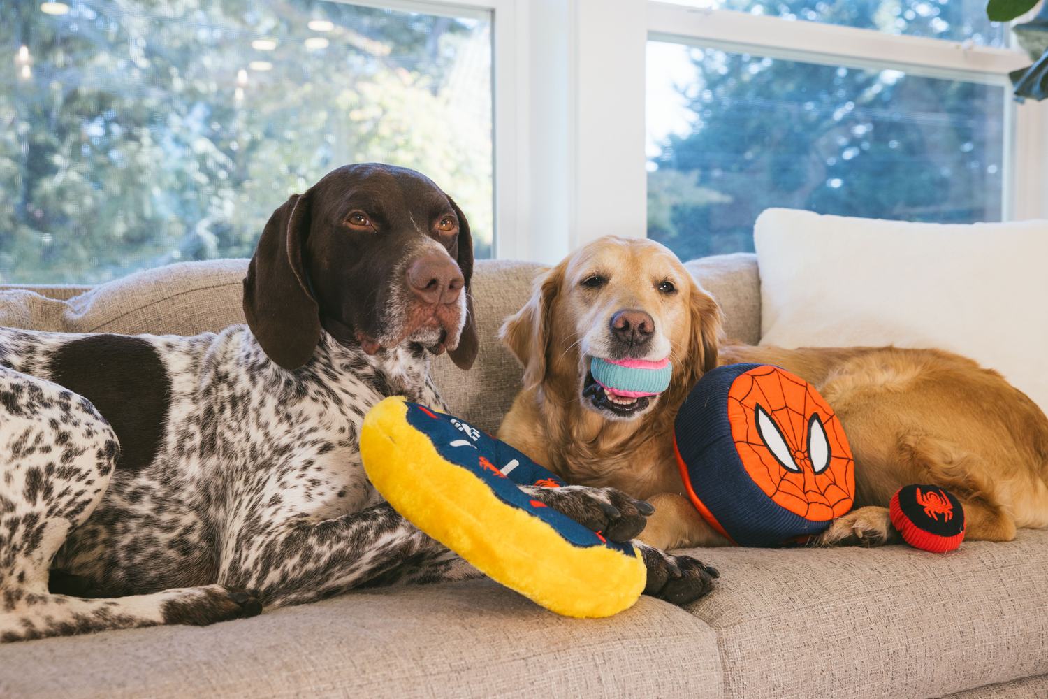 ZippyPaws commission by Morgan Phillips, photo 4 of 15