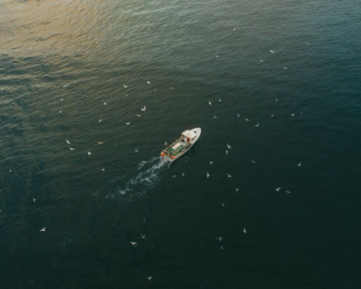 A boat cutting a wake across dark green water, seen from above
